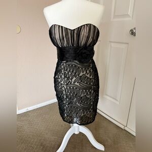 Elegant Black Strapless Dress

Windsor formal party dress